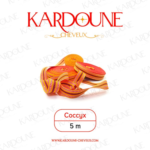 Kardoune 5 mètres – Coccyx